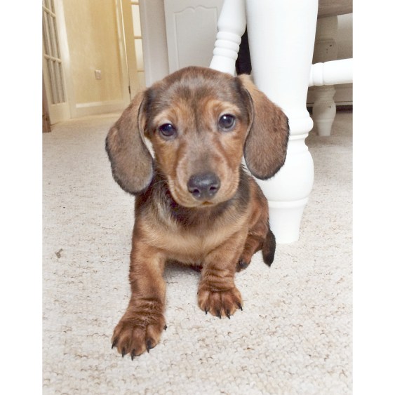 e95bd83c-422f-41a7-a75b-aeecd200caa6