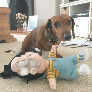 thumbnail_5dd0e82c-3756-4c0e-911c-a77fba9bae48